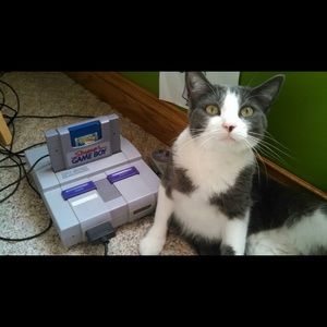 Meet your Posher, Faith